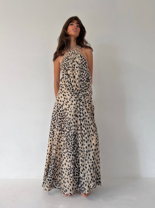SHY DRESS