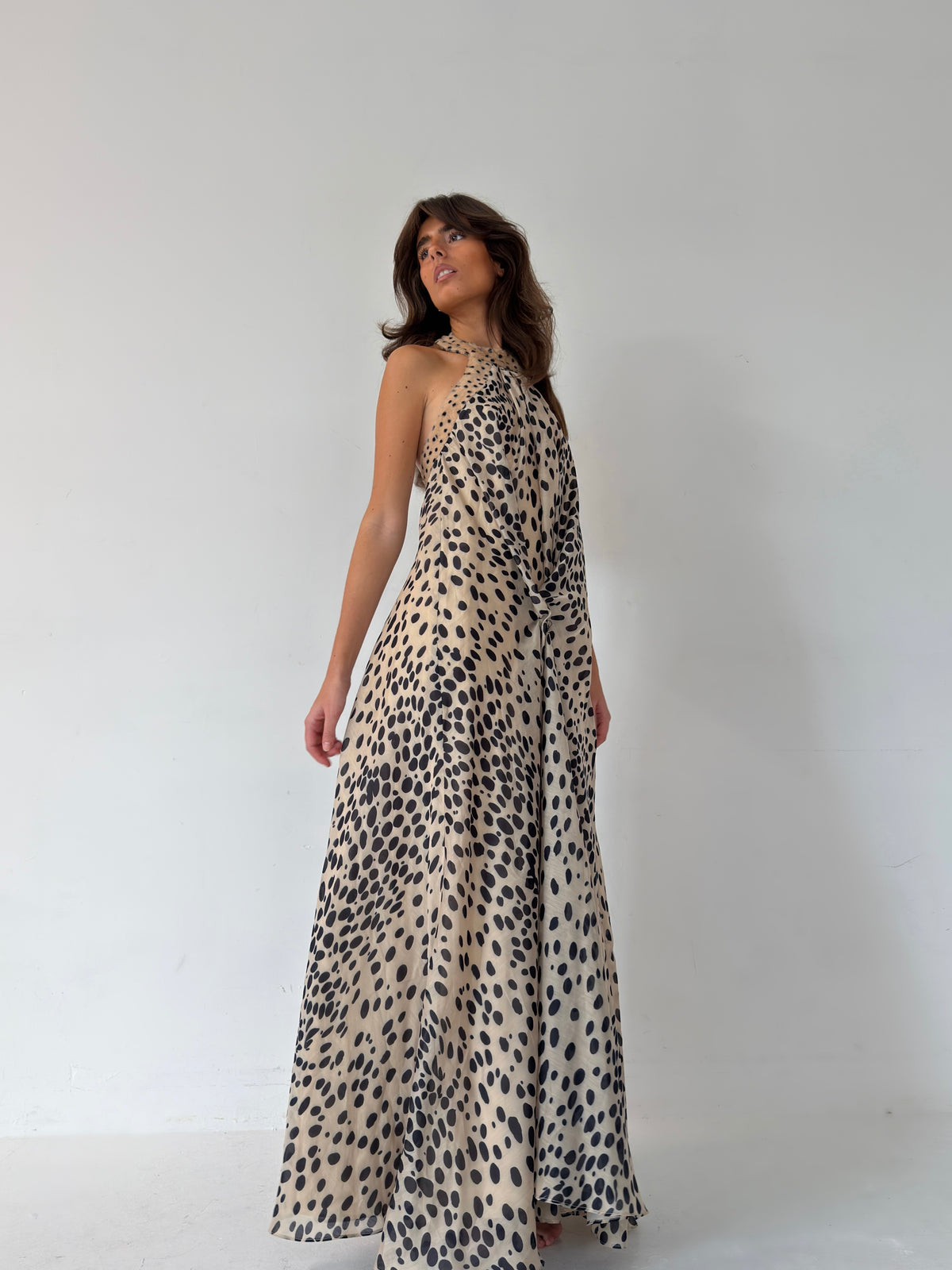 SHY DRESS